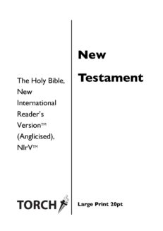 BIBLE NIrV (40-66) New Testament (20pt)