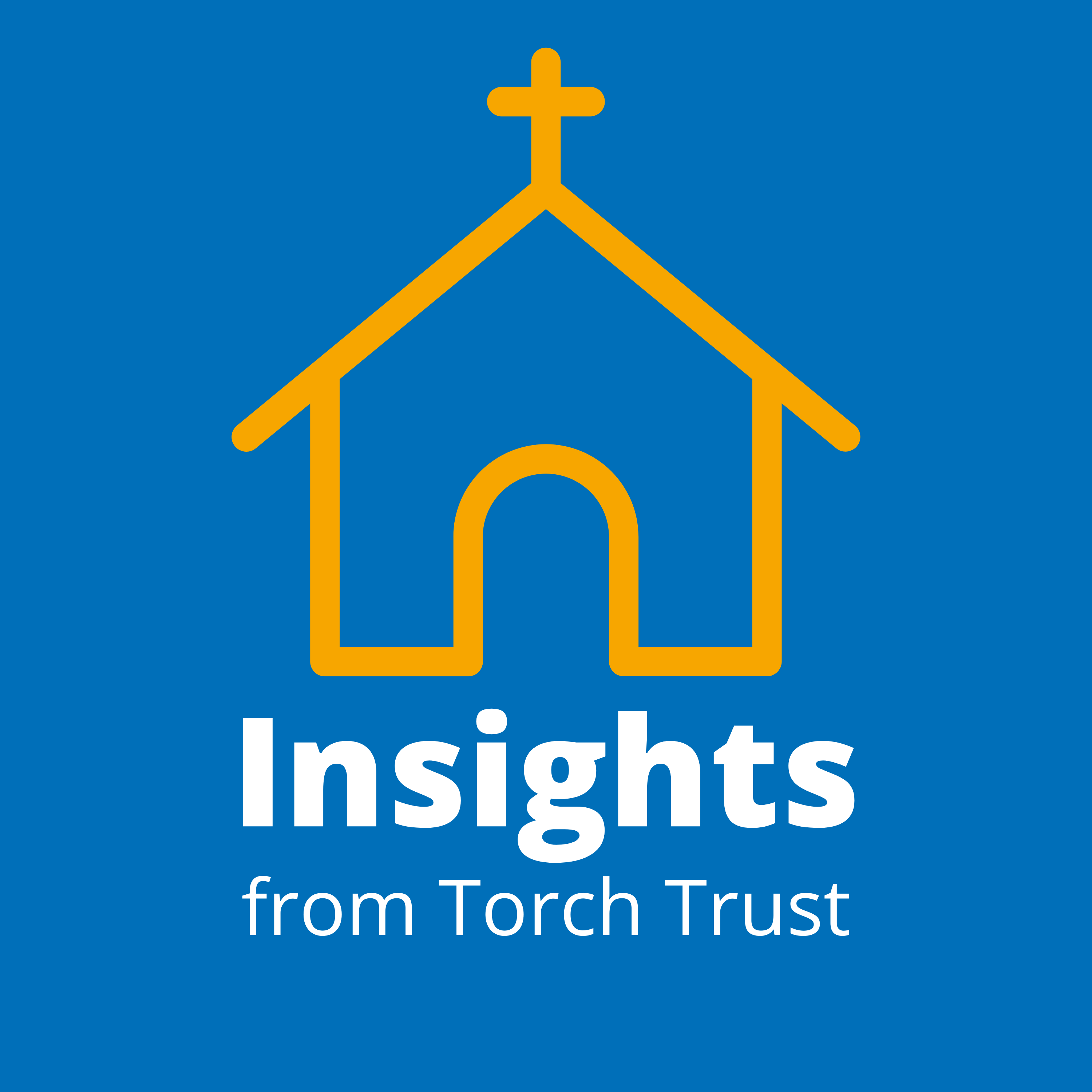 Insights from Torch Trust