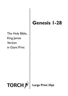 BIBLE KJV (01) Genesis 1-28 (25pt)